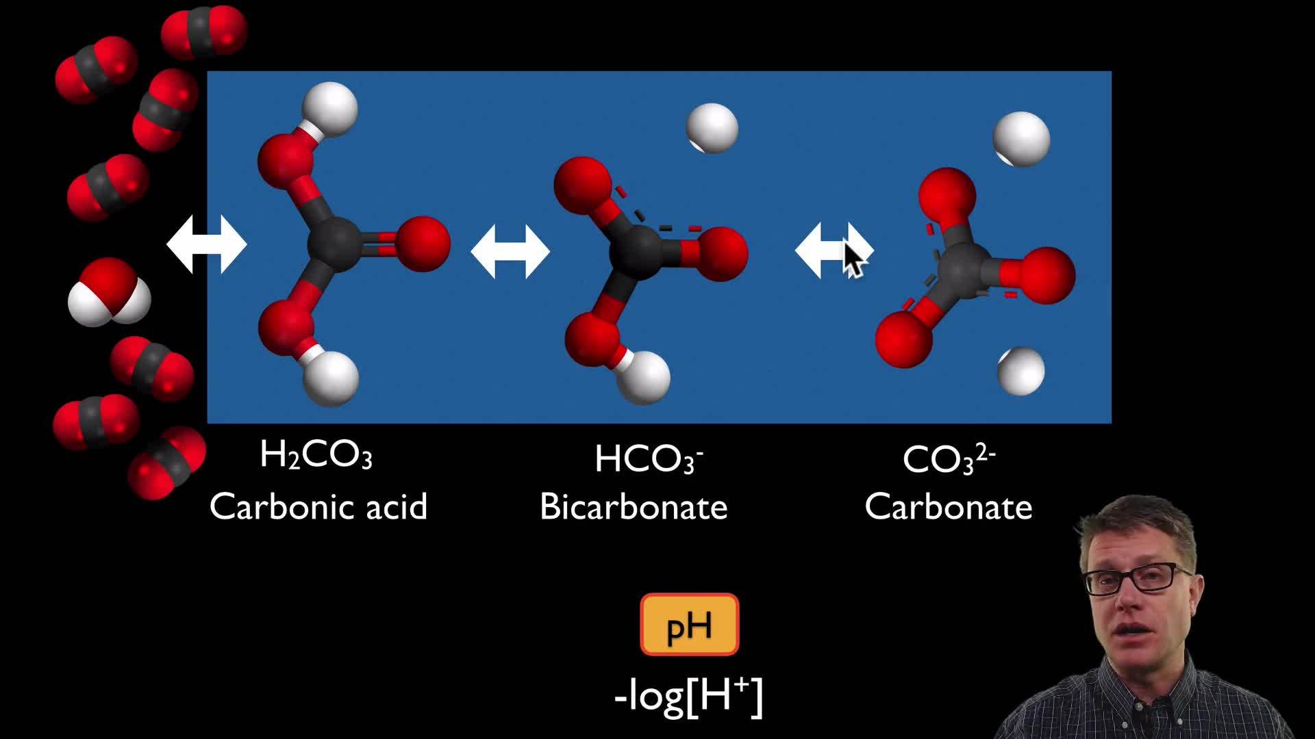 Ocean Acidification